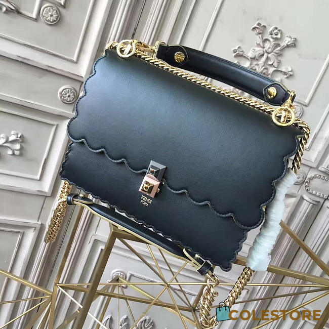 CohotBag fendi kani 1907 - 1