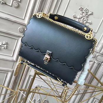 CohotBag fendi kani 1907