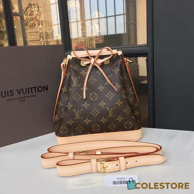 Louis Vuitton Monogram Néo BB Monogram Canvas - 1