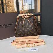 Louis Vuitton Monogram Néo BB Monogram Canvas - 1