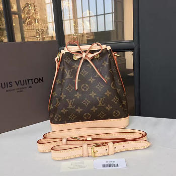 Louis Vuitton Monogram Néo BB Monogram Canvas