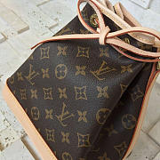 Louis Vuitton Monogram Néo BB Monogram Canvas - 2