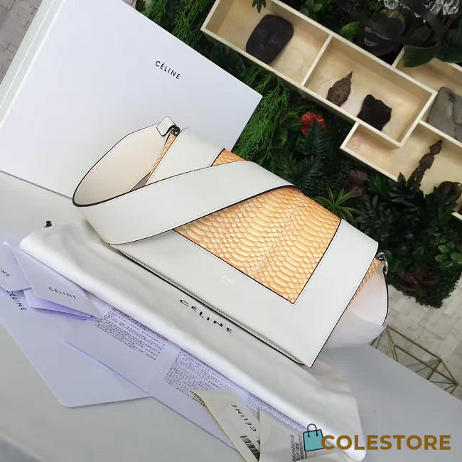 Celine Leather Frame Z1110 - 1