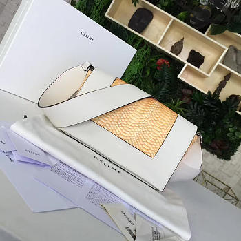 Celine Leather Frame Z1110