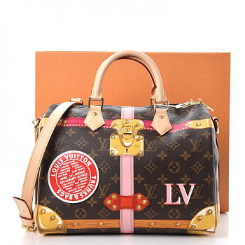 Louis Vuitton Speedy 30 Monogram Summer Trunks