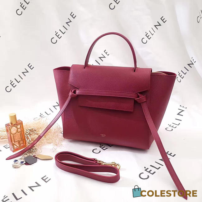 CohotBag celine leather belt bag z1178 - 1
