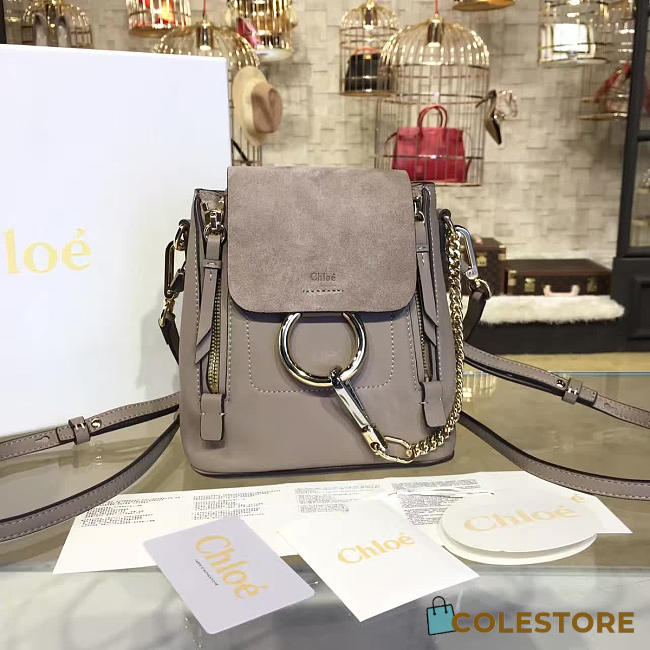 Chloe Cortex Backpack Z1318  - 1