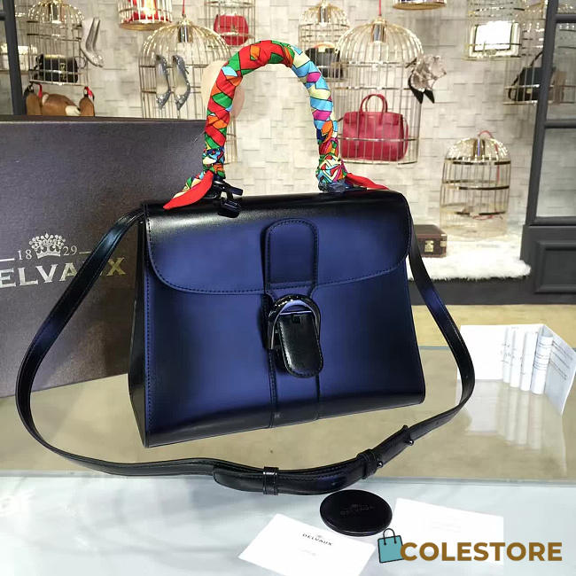 CohotBag delvaux sellier brillant 1493 - 1