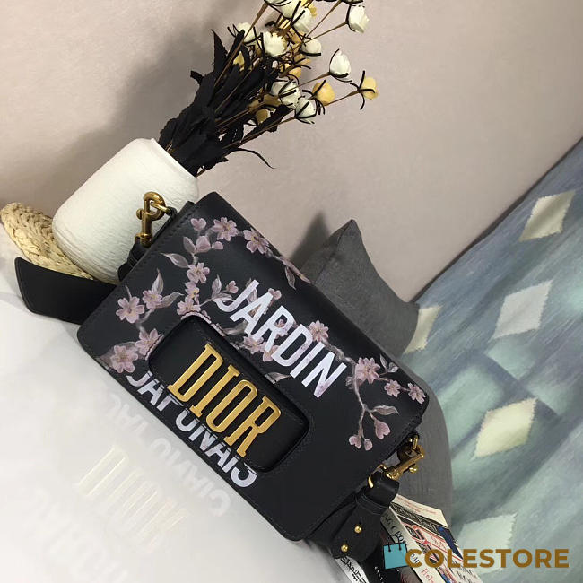 CohotBag dior evolution bag 1827 - 1
