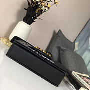 CohotBag dior evolution bag 1827 - 6
