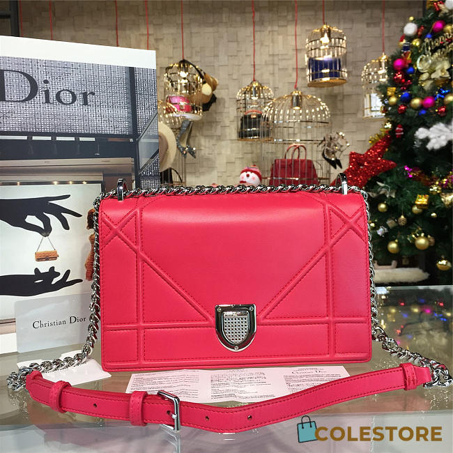 CohotBag dior ama 1736 - 1