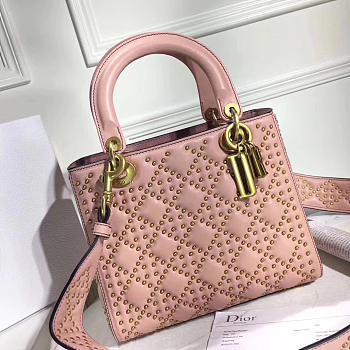 lady dior 1806
