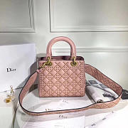 lady dior 1806 - 4