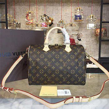 Colestore  Louis Vuitton Speedy Bandoulière 30 3113