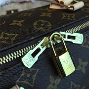 Colestore  Louis Vuitton Speedy Bandoulière 30 3113 - 3