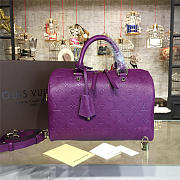 Colestore Louis Vuitton Speedy Bandoulière 30 3116 - 1