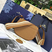 CohotBag delvaux calfskin mini le mutin saddle bag 1497 - 4