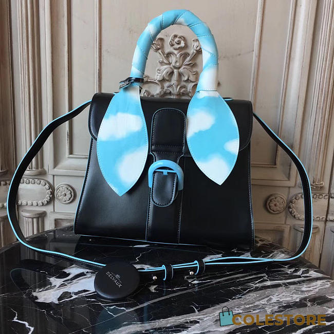 CohotBag delvaux mm brillant satchel  1535 - 1