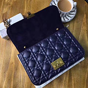 CohotBag dioraddict - 2