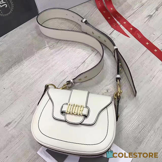 CohotBag dior fence 1724 - 1