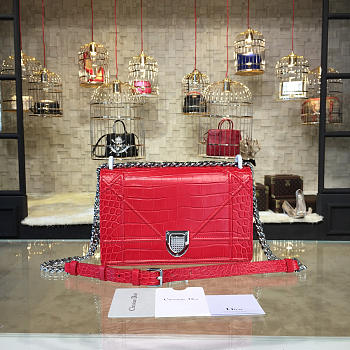 CohotBag dior ama 1745