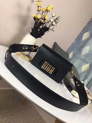 CohotBag dior evolution bag