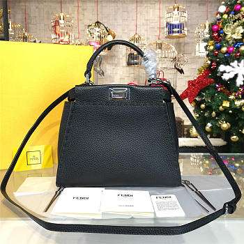 CohotBag fendi peekaboo 1837