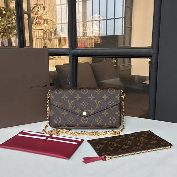 Louis Vuitton Pochette Felicie Monogram 3744