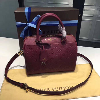 Louis Vuitton Speedy Bandoulière 25 3808