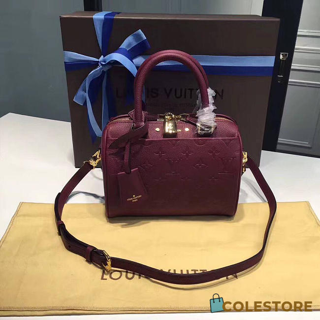Louis Vuitton Speedy 20 Raisin 3819 - 1
