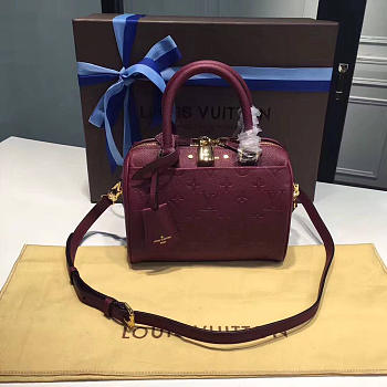 Louis Vuitton Speedy 20 Raisin 3819