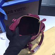Louis Vuitton Speedy 20 Raisin 3819 - 5