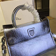 CohotBag dior ever 1534 - 6