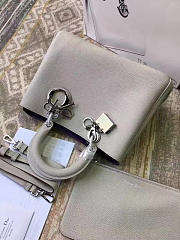 CohotBag diorissimo 1655 - 6