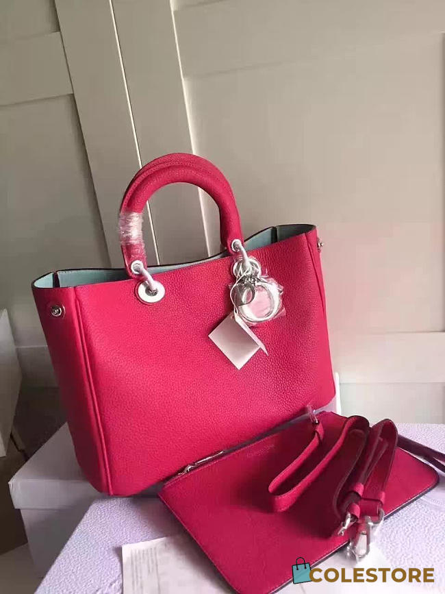 CohotBag diorissimo 1661 - 1