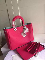 CohotBag diorissimo 1661 - 1