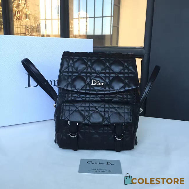 CohotBag dior backpack - 1