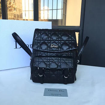 CohotBag dior backpack