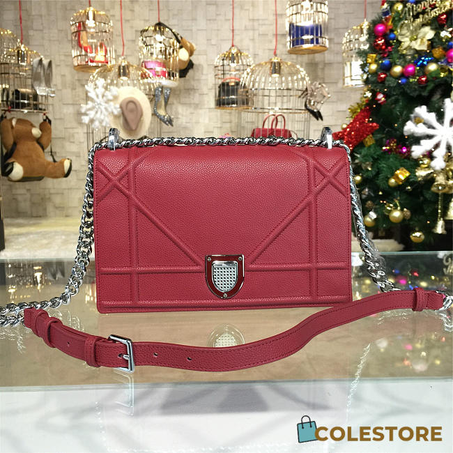 CohotBag dior ama 1734 - 1