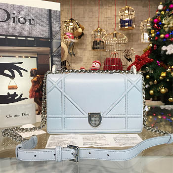 CohotBag dior ama 1742