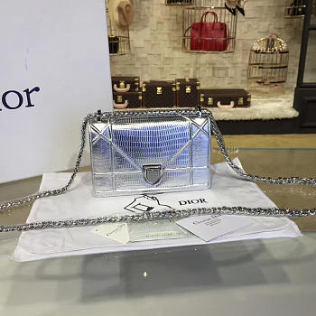 CohotBag dior ama 1766