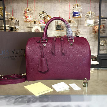Louis Vuitton Speedy Bandoulière30 3117 30 cm