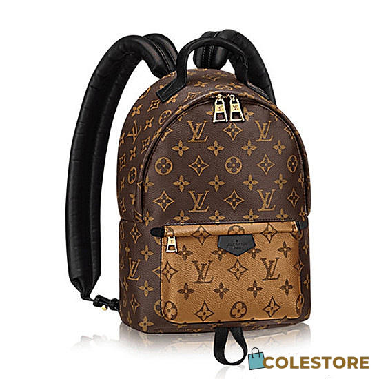 Louis Vuitton Palm Springs Backpack Pm Monogram M43116 - 1