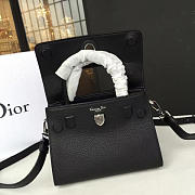 CohotBag dior ever 1533 - 4