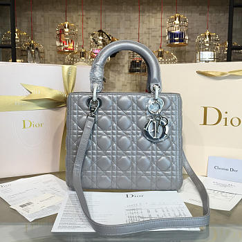 CohotBag lady dior 1640