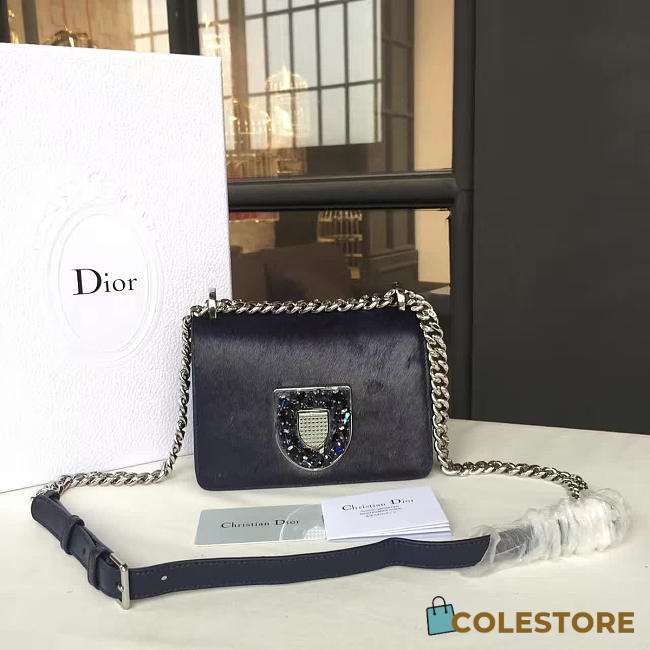 CohotBag dior handbag - 1