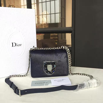 CohotBag dior handbag