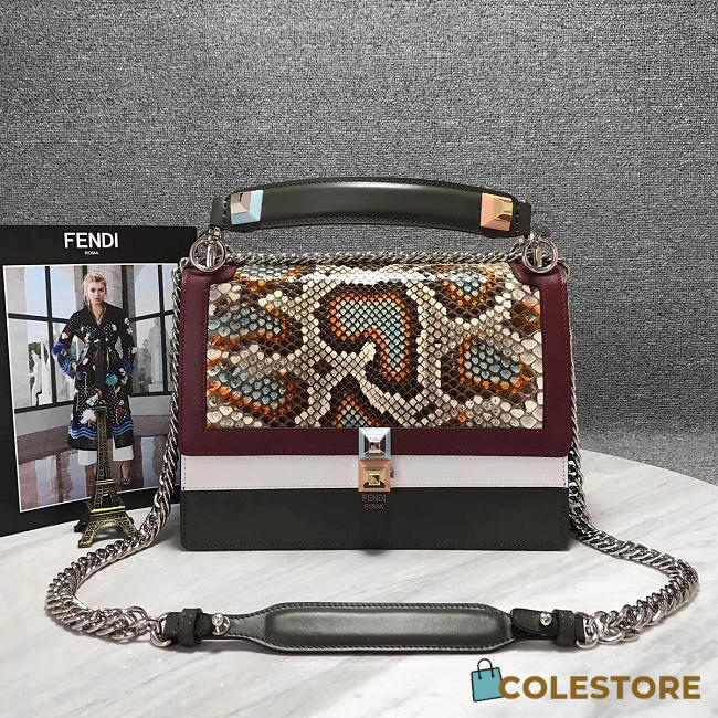 CohotBag fendi kani 2016 - 1