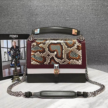 CohotBag fendi kani 2016
