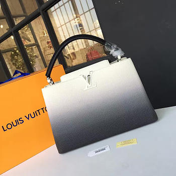 Louis Vuitton Capucines MM 3464